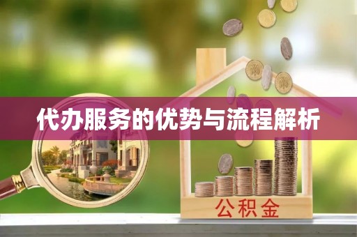 和政代办服务的优势与流程解析