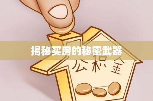 和政揭秘买房的秘密武器