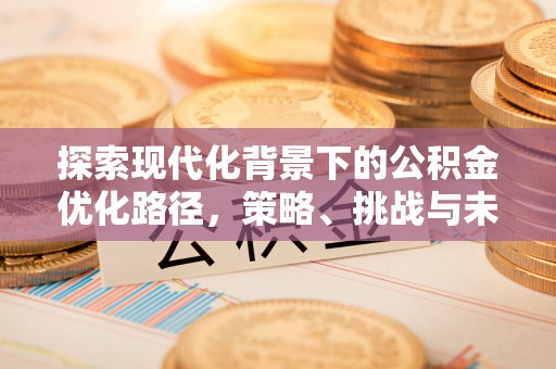 和政探索现代化背景下的公积金优化路径，策略、挑战与未来展望