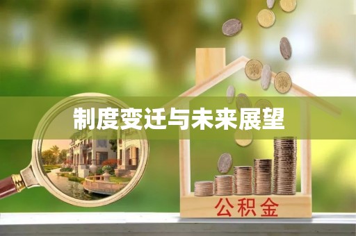 和政制度变迁与未来展望