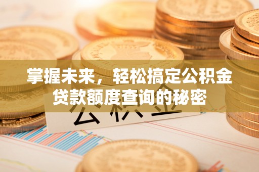 和政掌握未来，轻松搞定公积金贷款额度查询的秘密