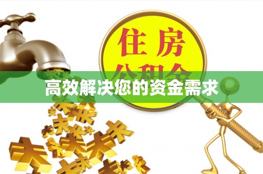 和政高效解决您的资金需求