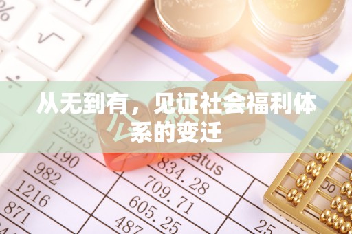 和政从无到有，见证社会福利体系的变迁