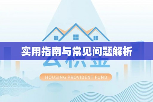 和政实用指南与常见问题解析