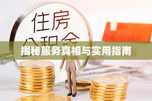 和政揭秘服务真相与实用指南