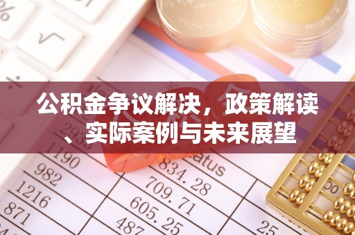 和政公积金争议解决，政策解读、实际案例与未来展望