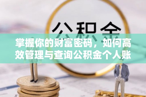 和政掌握你的财富密码，如何高效管理与查询公积金个人账户信息