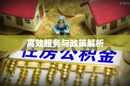 和政高效服务与政策解析