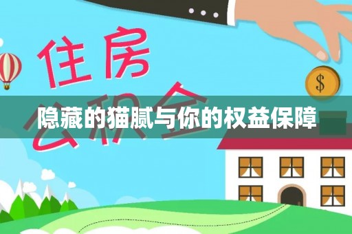 和政隐藏的猫腻与你的权益保障