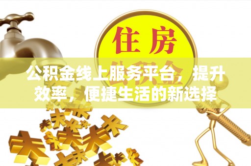 和政公积金线上服务平台，提升效率，便捷生活的新选择