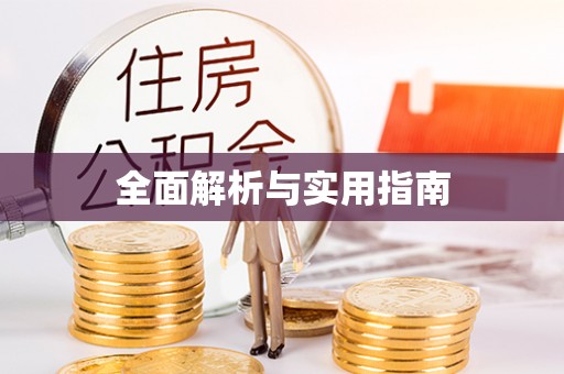 和政全面解析与实用指南